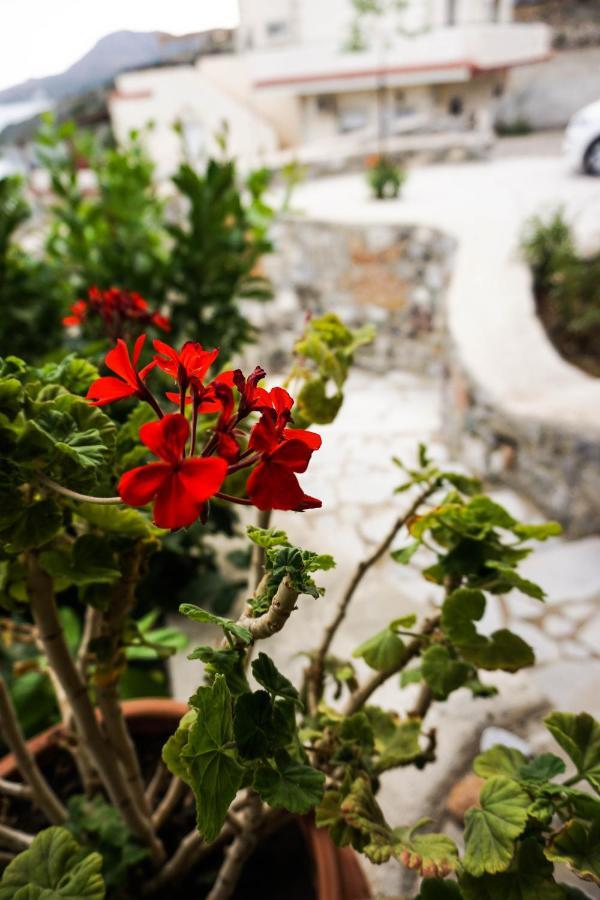 Porto Lassea Villa Kali Limenes Buitenkant foto